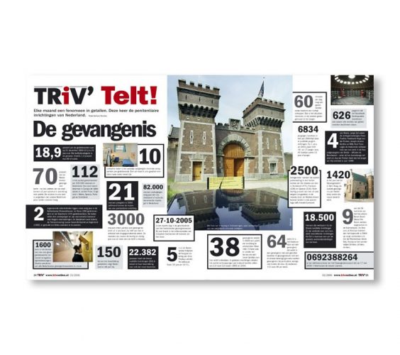 TRIV2kopie-790x700